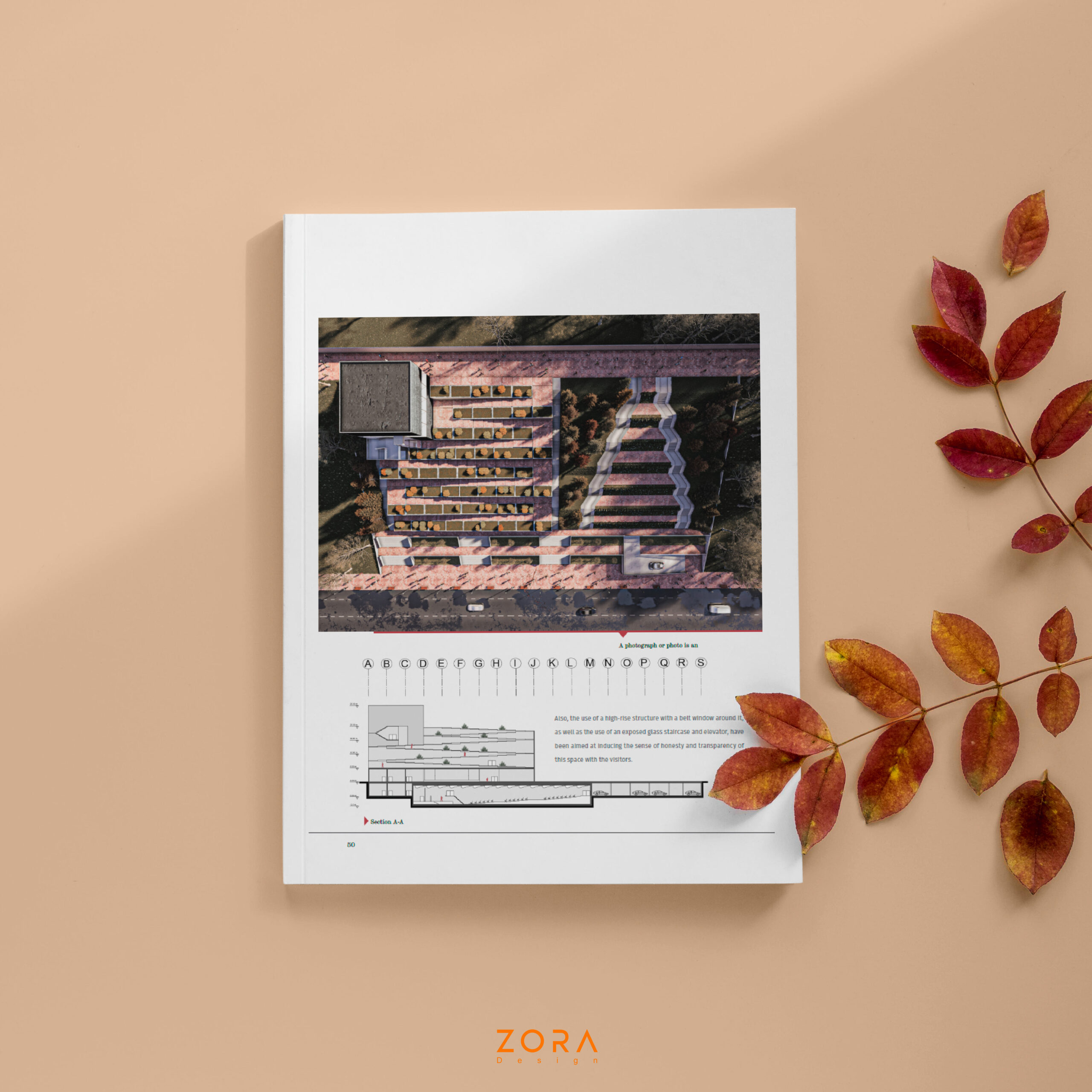 The world of architecture, Zora Design