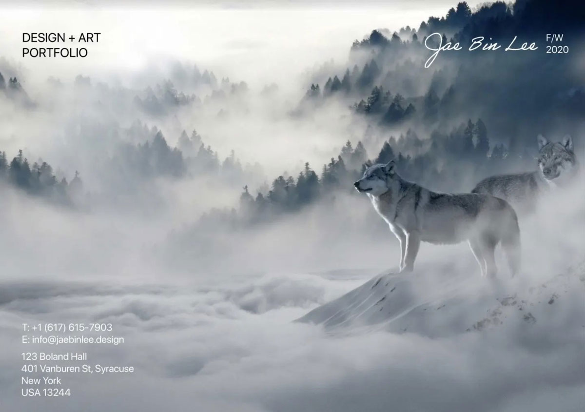 Portfolio-Examples-ZoraDesign