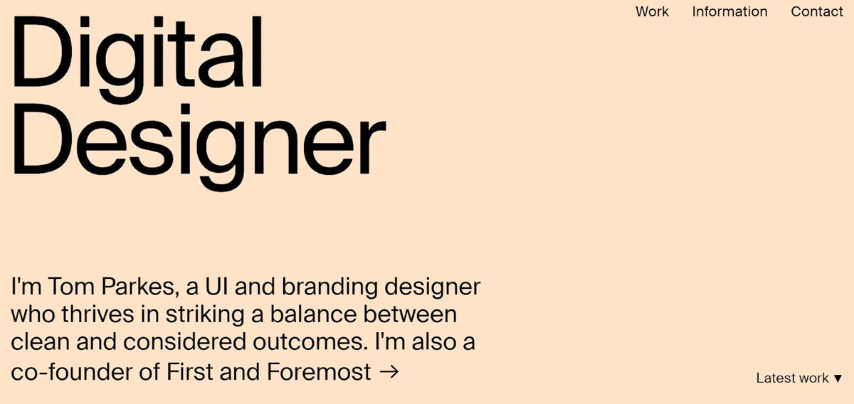 Portfolio-Examples-ZoraDesign